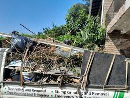Best Carpet Removal and Disposal  in Boonville, NC